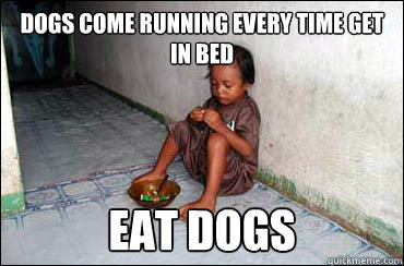 dogs come running every time get in bed eat dogs  Third World Problems