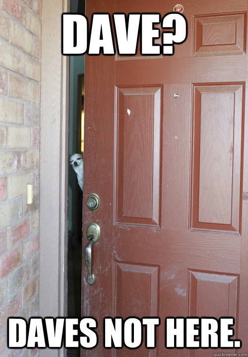 Dave? daves not here. - Dave? daves not here.  Misc