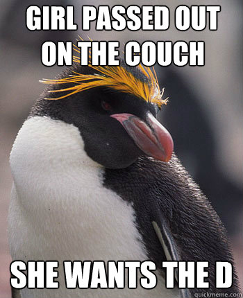 girl passed out on the couch she wants the d  Socially Overconfident Penguin