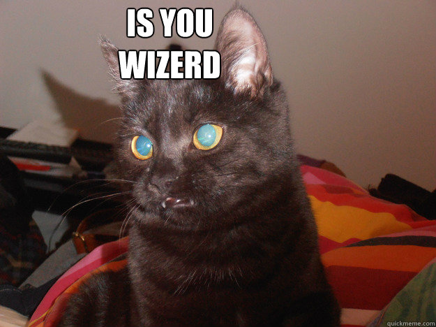 IS YOU
WIZERD - IS YOU
WIZERD  Mildly derp cat