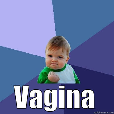  VAGINA Success Kid