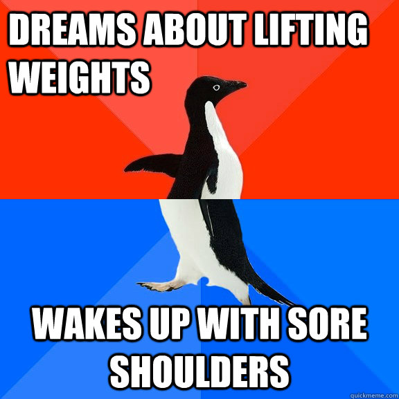 Dreams about lifting weights wakes up with sore shoulders  Socially Awesome Awkward Penguin