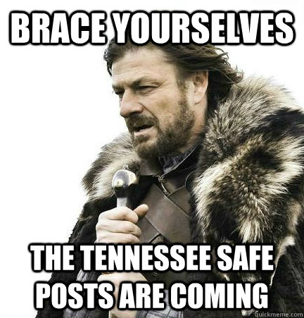 brace yourselves the tennessee safe posts are coming  BRACE YOURSELF - ANNOYING SNOW PICTURES ARE COMING