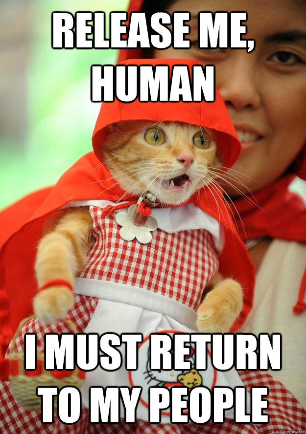 Release me, Human I must return to my people - Release me, Human I must return to my people  Red Riding Cat