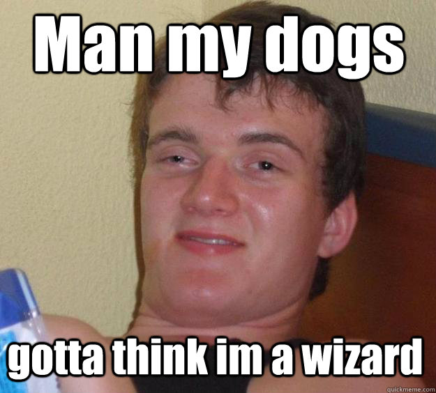 Man my dogs gotta think im a wizard - Man my dogs gotta think im a wizard  Over-Stoned Dave