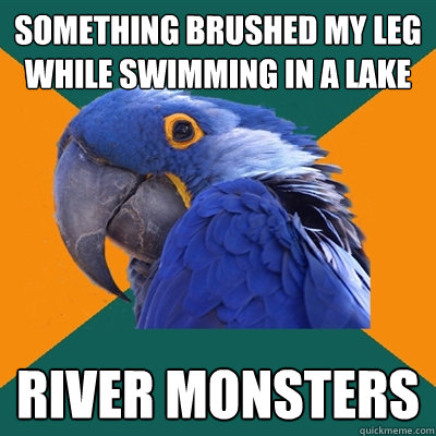 something brushed my leg while swimming in a lake river monsters Caption 3 goes here  Paranoid Parrot