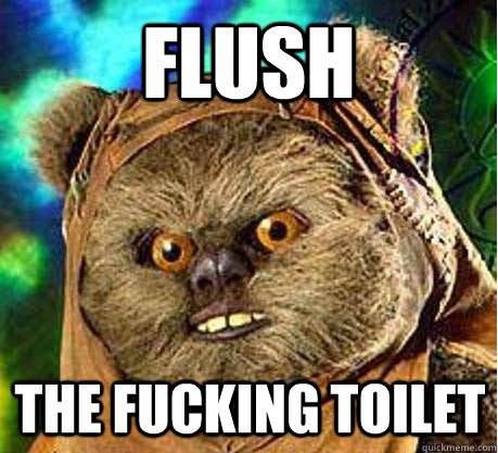 flush the fucking toilet  Prepare your anus ewok