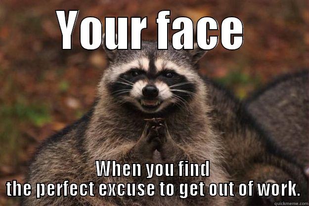 Get out of work - YOUR FACE WHEN YOU FIND THE PERFECT EXCUSE TO GET OUT OF WORK. Evil Plotting Raccoon