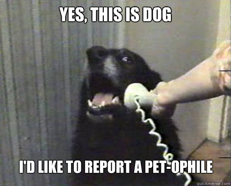 yes, this is dog I'd like to report a Pet-ophile - yes, this is dog I'd like to report a Pet-ophile  yes this is dog