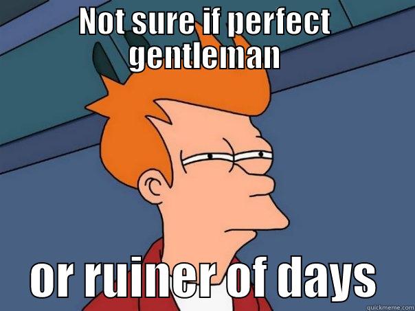 NOT SURE IF PERFECT GENTLEMAN     OR RUINER OF DAYS    Futurama Fry