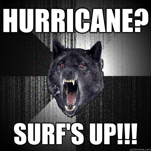 HURRICANE? SURF'S UP!!!  Insanity Wolf