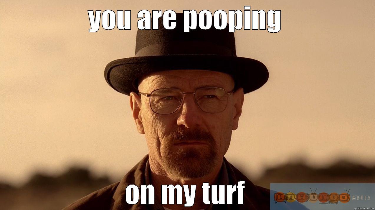 YOU ARE POOPING ON MY TURF Misc