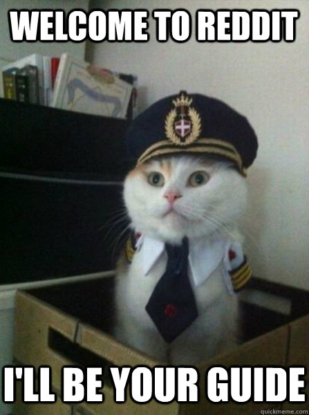 Welcome to Reddit I'll be your guide  Captain kitteh