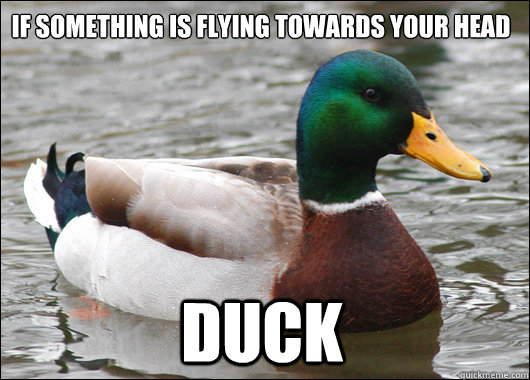 If something is flying towards your head Duck  Actual Advice Mallard
