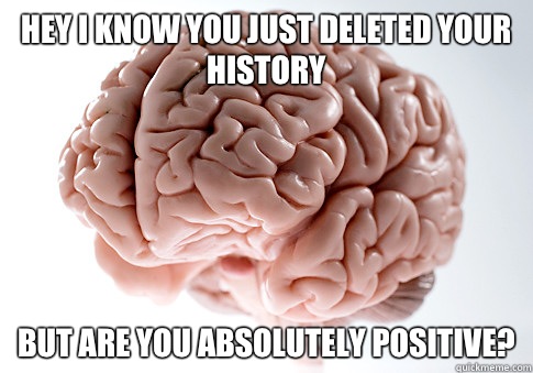 Hey I know you just deleted your history but are you absolutely positive?  Scumbag Brain