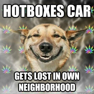 Hotboxes Car Gets lost in own neighborhood - Hotboxes Car Gets lost in own neighborhood  Stoner Dog