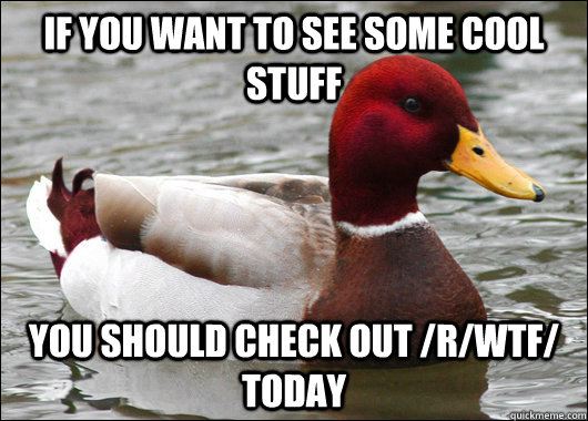 if you want to see some cool stuff you should check out /r/wtf/  today  Malicious Advice Mallard