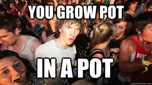 You Grow Pot In a Pot  Sudden Clarity Clarence