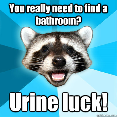 You really need to find a bathroom? Urine luck!  Lame Pun Coon