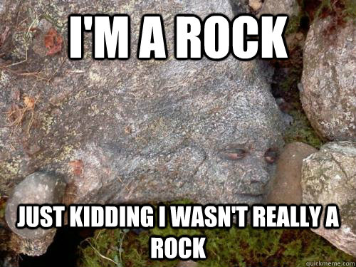 I'm a rock just kidding i wasn't really a rock  