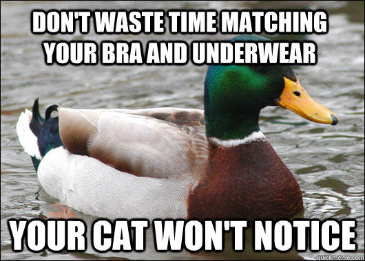 don't waste time matching your bra and underwear your cat won't notice - don't waste time matching your bra and underwear your cat won't notice  Actual Advice Mallard
