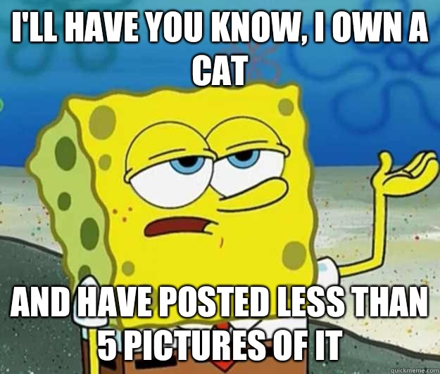 I'll have you know, I own a cat And have posted less than 5 pictures of it  Tough Spongebob