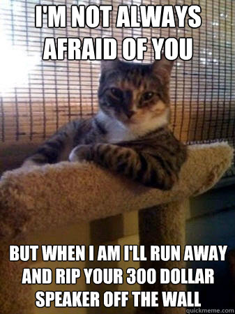 I'm not always afraid of you  but when I am i'll run away and rip your 300 dollar speaker off the wall  The Most Interesting Cat in the World