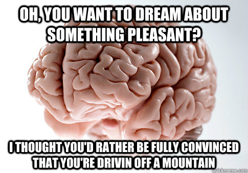 oh, you want to dream about something pleasant? i thought you'd rather be fully convinced that you're drivin off a mountain   Scumbag Brain