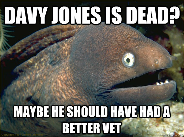 davy jones is dead? maybe he should have had a better vet  Bad Joke Eel