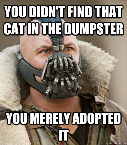 You didn't find that cat in the dumpster you merely adopted it  Bane is confused
