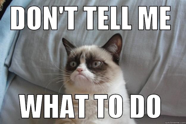 DON'T TELL ME WHAT TO DO - DON'T TELL ME WHAT TO DO Grumpy Cat