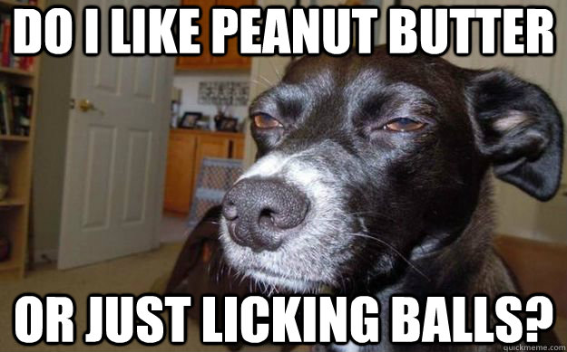 do i like peanut butter  or just licking balls? - do i like peanut butter  or just licking balls?  Skeptical Mutt