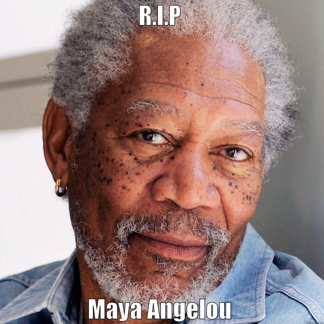 R.I.P MAYA ANGELOU Misc
