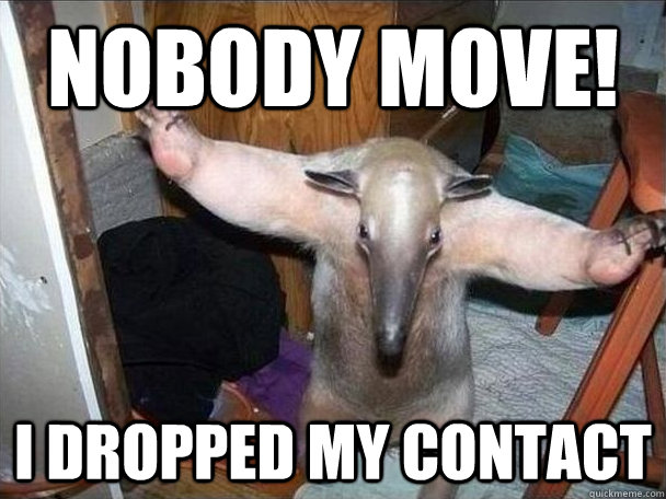 Nobody Move! i dropped my contact  I got this