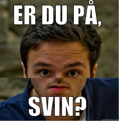 ER DU PÅ, SVIN? Misc