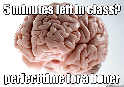 5 minutes left in class? perfect time for a boner  Scumbag Brain