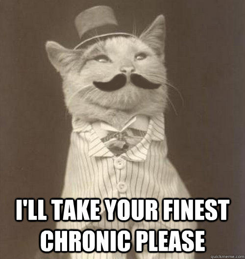  I'll take your finest chronic please -  I'll take your finest chronic please  Original Business Cat