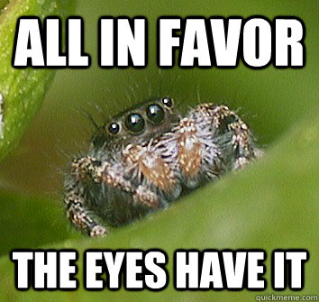 All in favor The eyes have it - All in favor The eyes have it  Misunderstood Spider