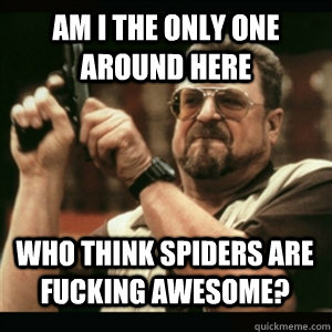 am I the only one around here who think spiders are fucking awesome? - am I the only one around here who think spiders are fucking awesome?  Misc