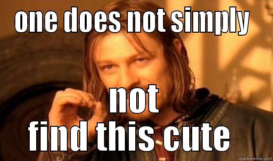 ONE DOES NOT SIMPLY  NOT FIND THIS CUTE  Boromir
