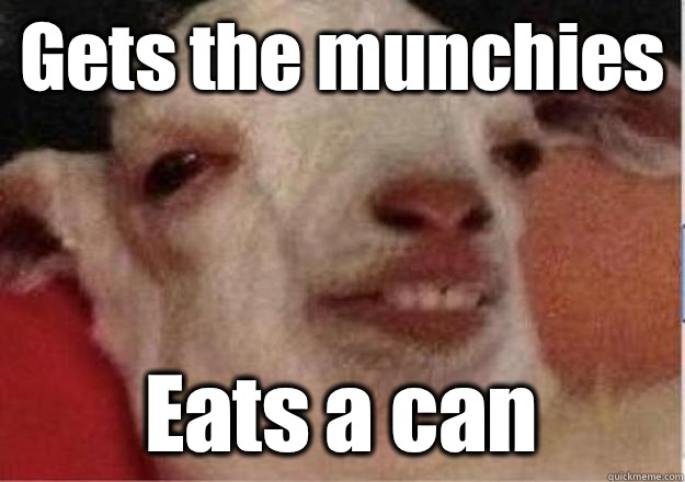Gets the munchies Eats a can  