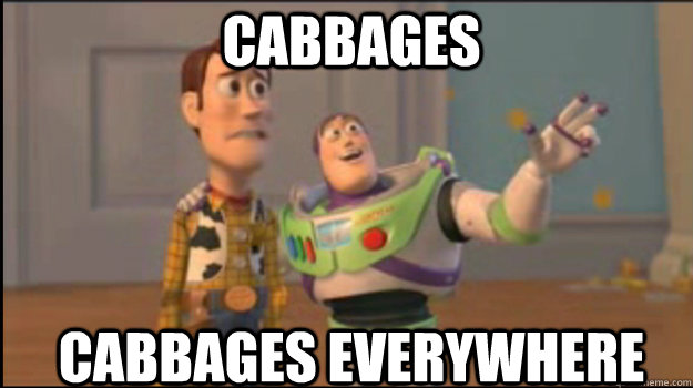 cabbages cabbages everywhere - cabbages cabbages everywhere  Buzz and Woody