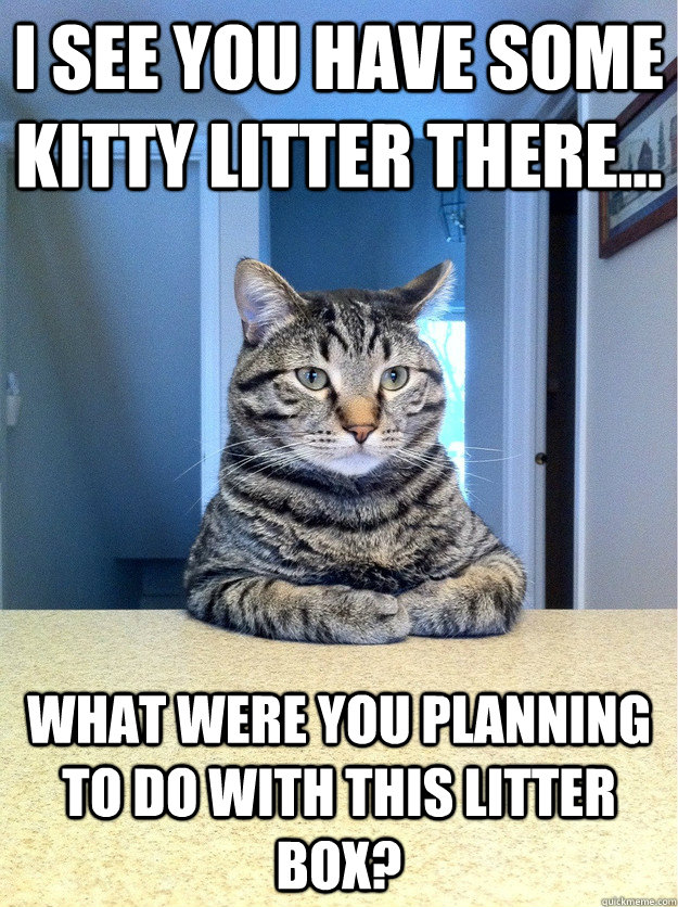 I see you have some kitty litter there... What were you planning to do with this litter box? - I see you have some kitty litter there... What were you planning to do with this litter box?  Chris Hansen Cat