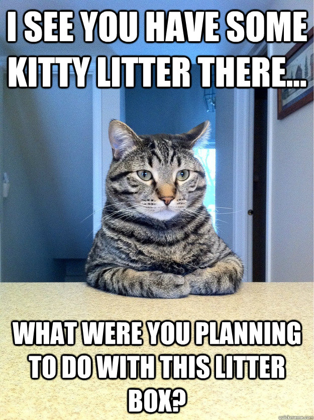 I see you have some kitty litter there... What were you planning to do with this litter box?  Chris Hansen Cat