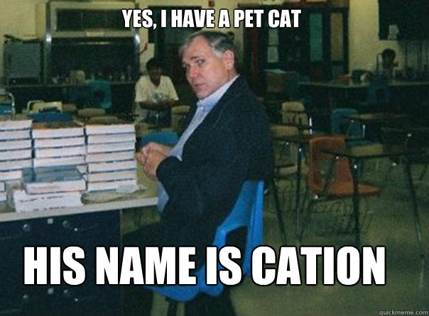 Yes, I have a pet cat his name is cation - Yes, I have a pet cat his name is cation  Scumbag Mr. Fin