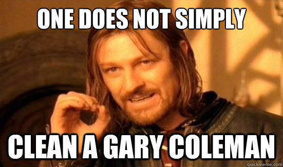 One Does Not Simply clean a Gary coleman  - One Does Not Simply clean a Gary coleman   Boromir