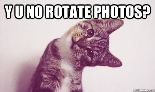 y u no rotate photos?  rotate cat