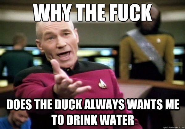 why the fuck does the duck always wants me to drink water  Why The Fuck Picard