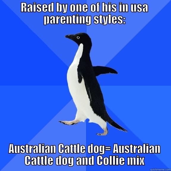 for the record penguin - RAISED BY ONE OF HIS IN USA PARENTING STYLES: AUSTRALIAN CATTLE DOG= AUSTRALIAN CATTLE DOG AND COLLIE MIX Socially Awkward Penguin