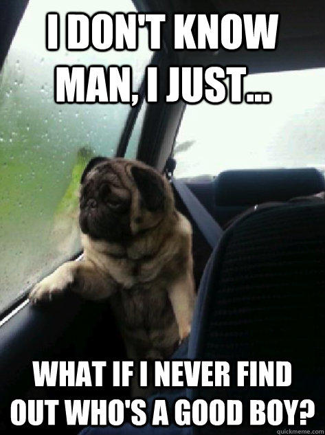 I don't know man, I just... what if i never find out who's a good boy?  Introspective Pug